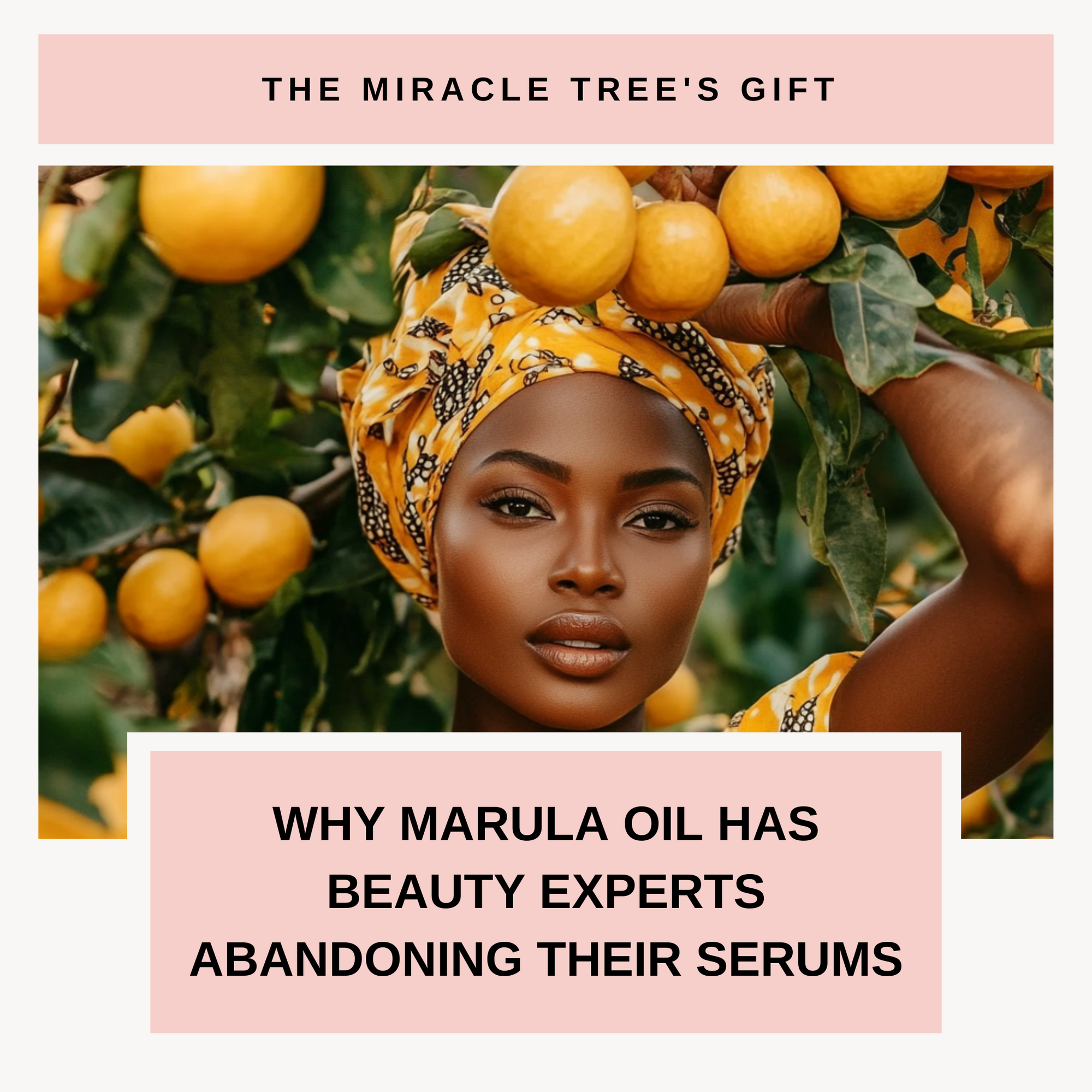 The Miracle Tree's Gift: Why Marula Oil Has Beauty Experts Abandoning Their Serums